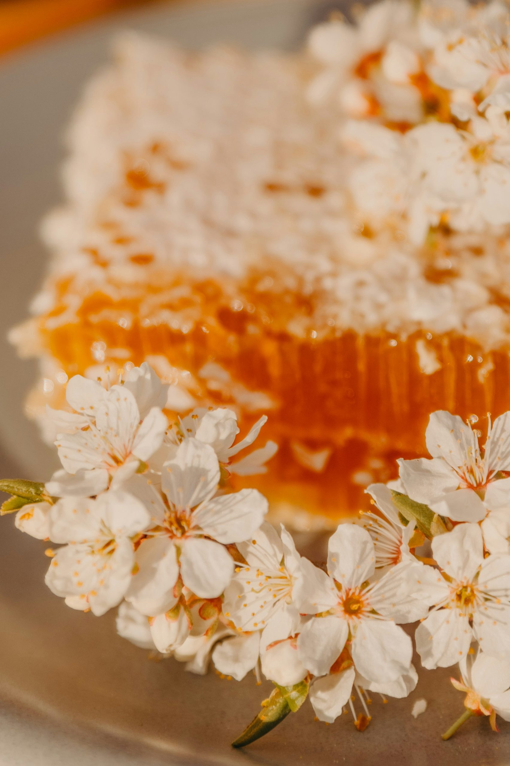 anita-austvika-OALl2tDnIio-unsplash